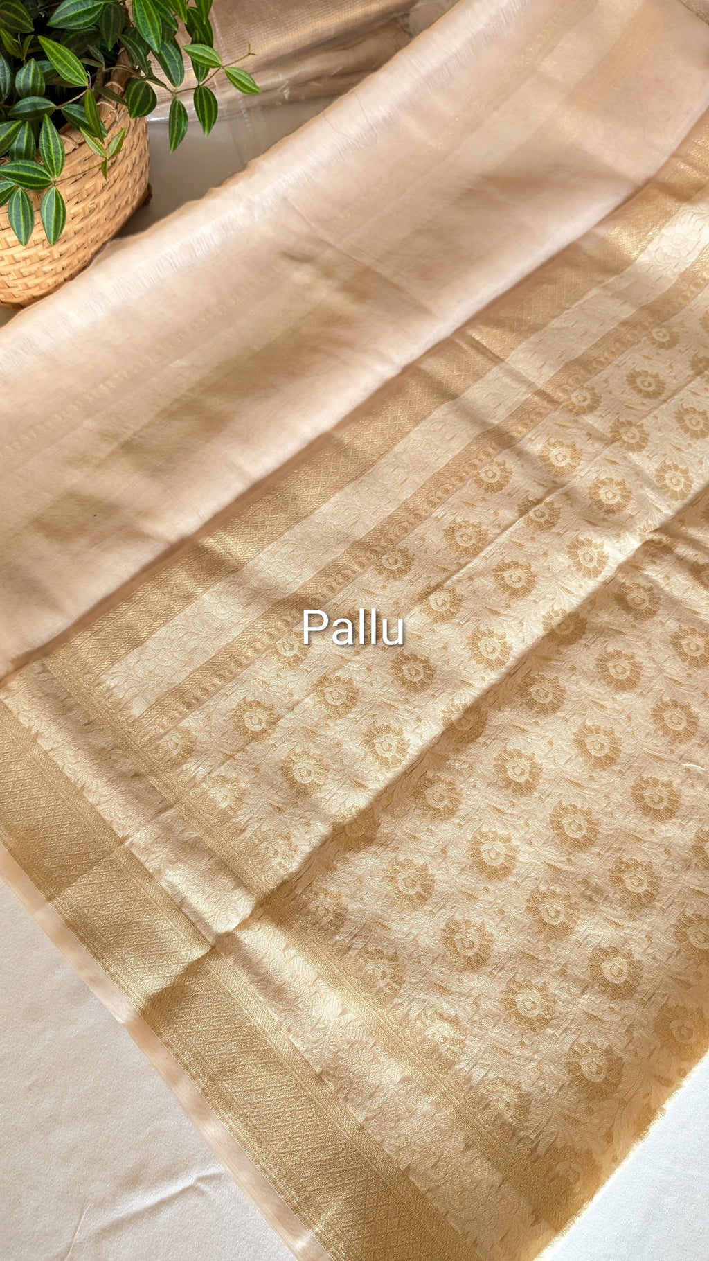 Chanderi golden beige saree