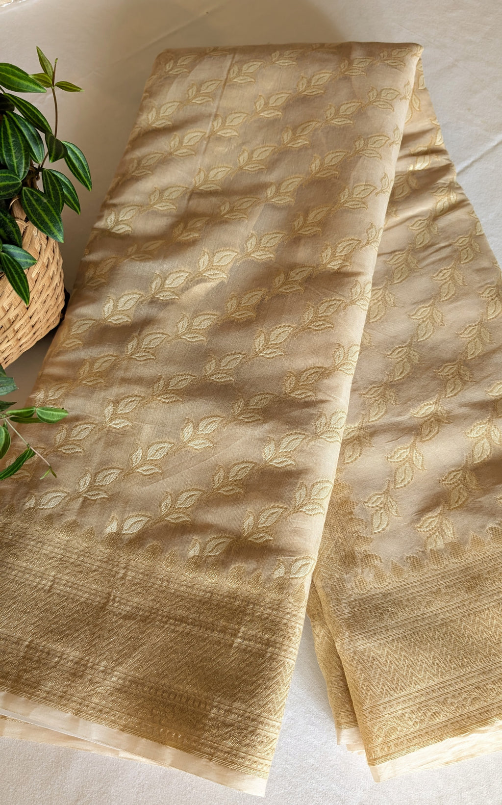 Chanderi golden beige weave saree
