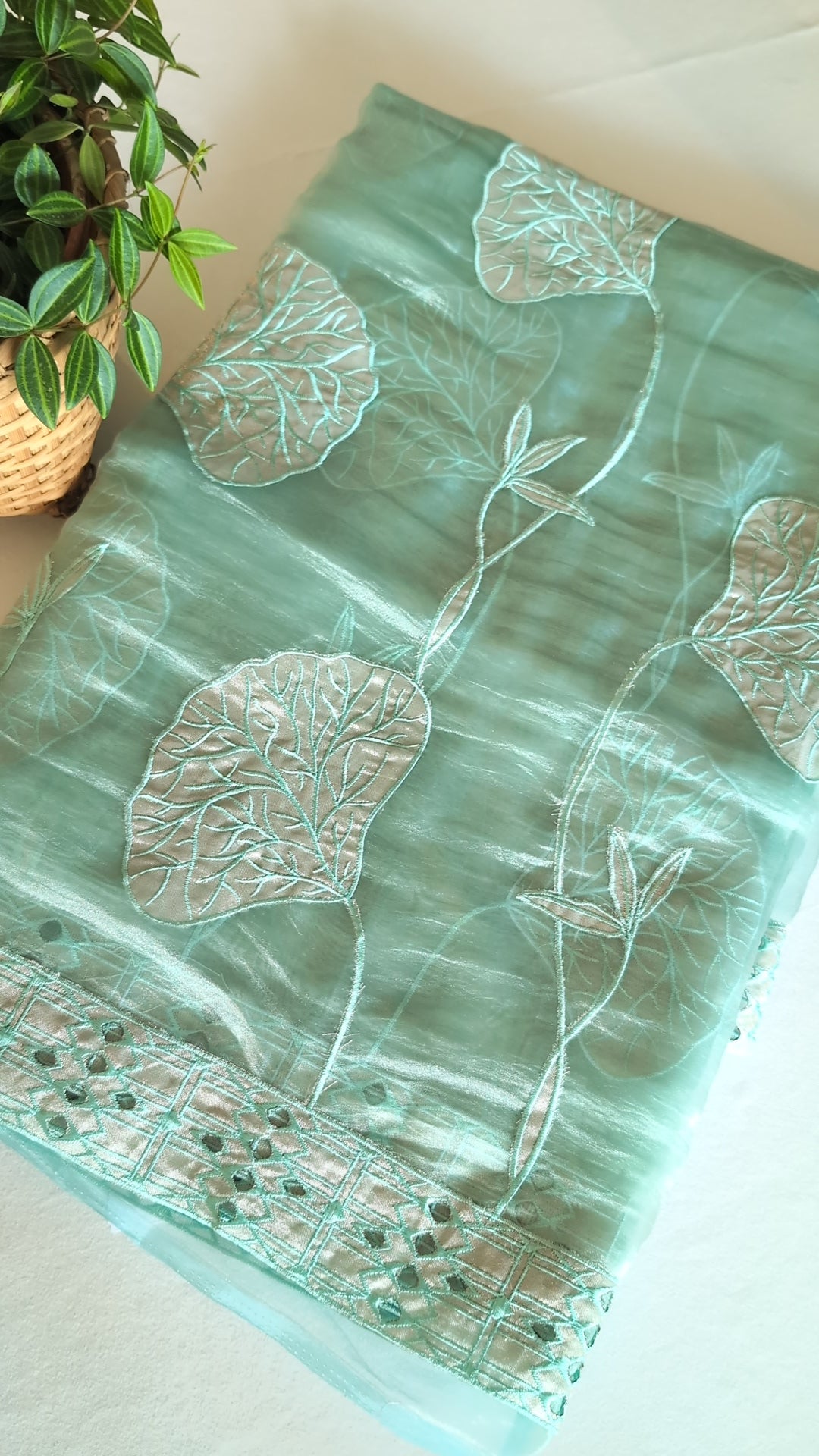 Glass tissue organza saree with Applique work and cutwork