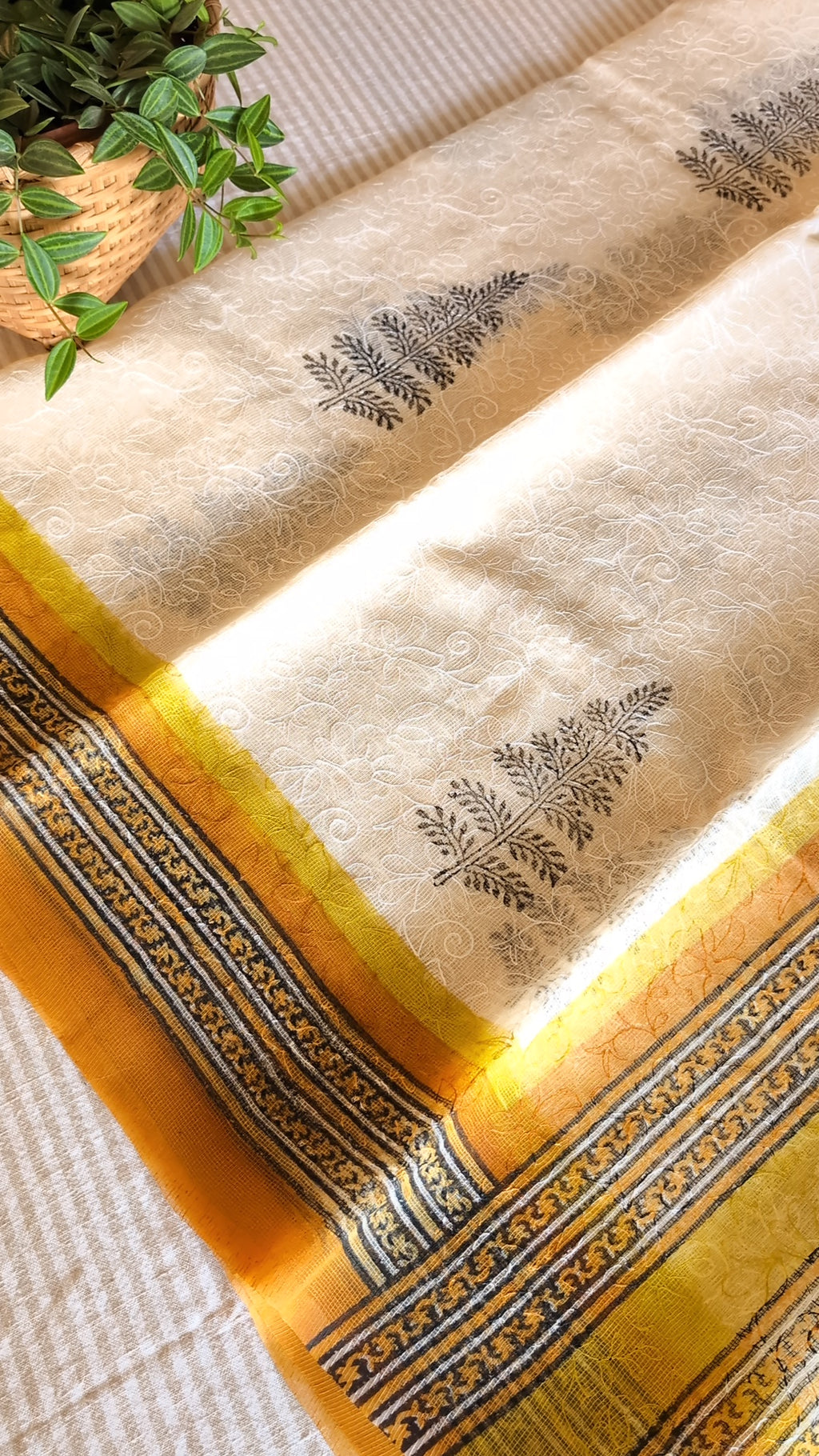 Tepchi kota saree