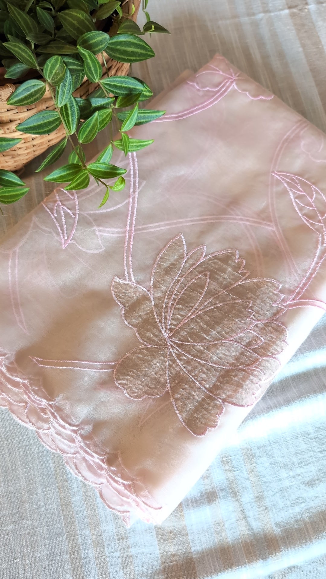 Organza applique work saree