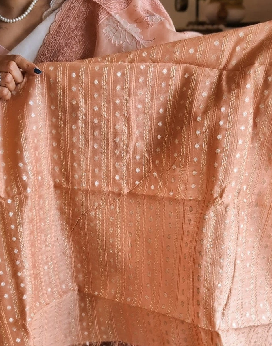 Pure Organza Tissue applique saree