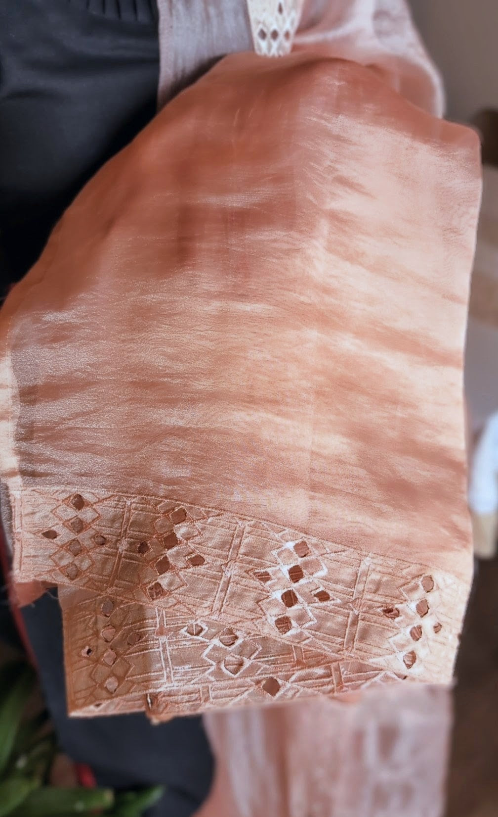 Glass tissue organza saree with applique work