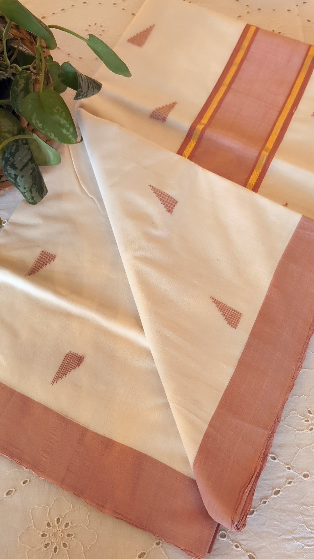 Handloom cotton saree