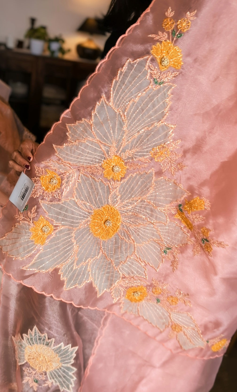 Apricot blush glass tissue organza saree