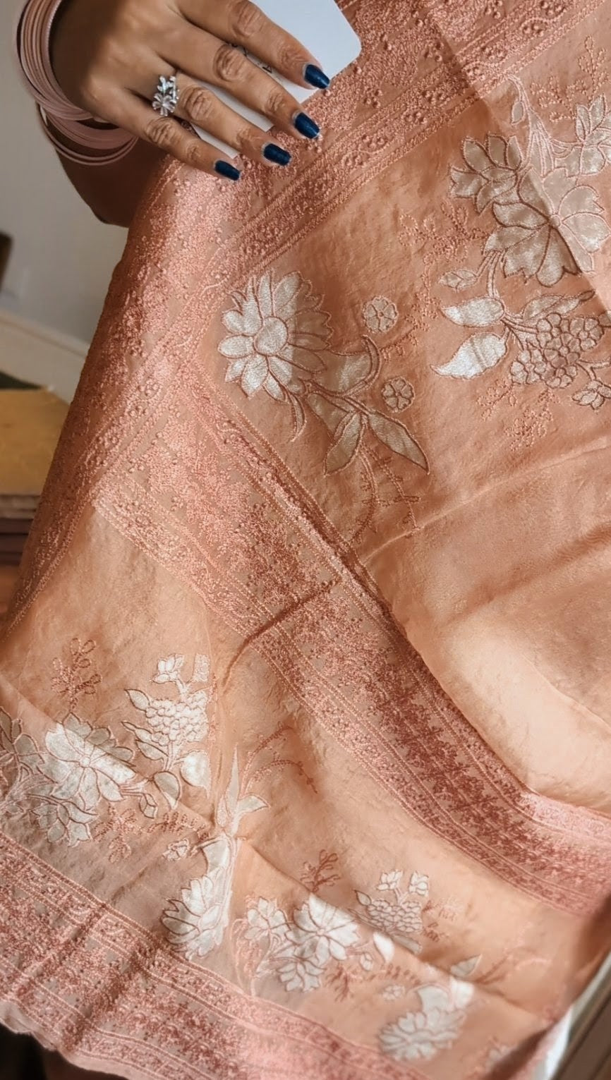 Pure Organza Tissue applique saree