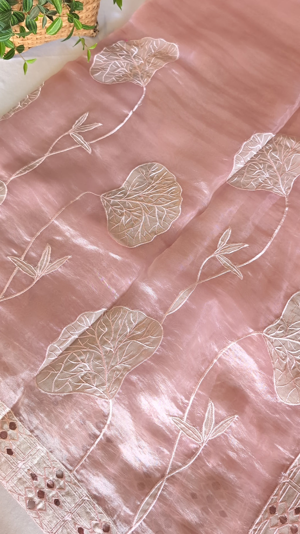 Glass tissue Organza saree with applique work