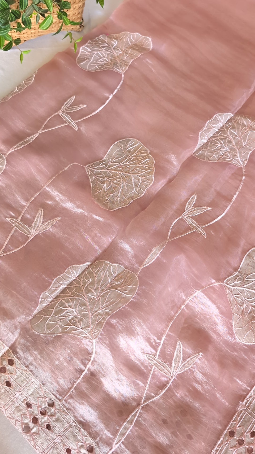 Glass tissue Organza saree with applique work