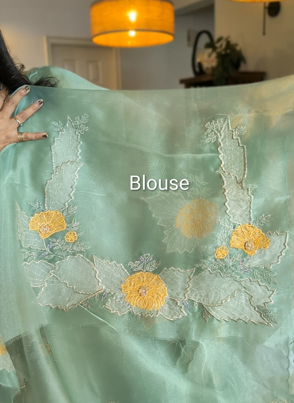 Glass tissue organza hand work saree