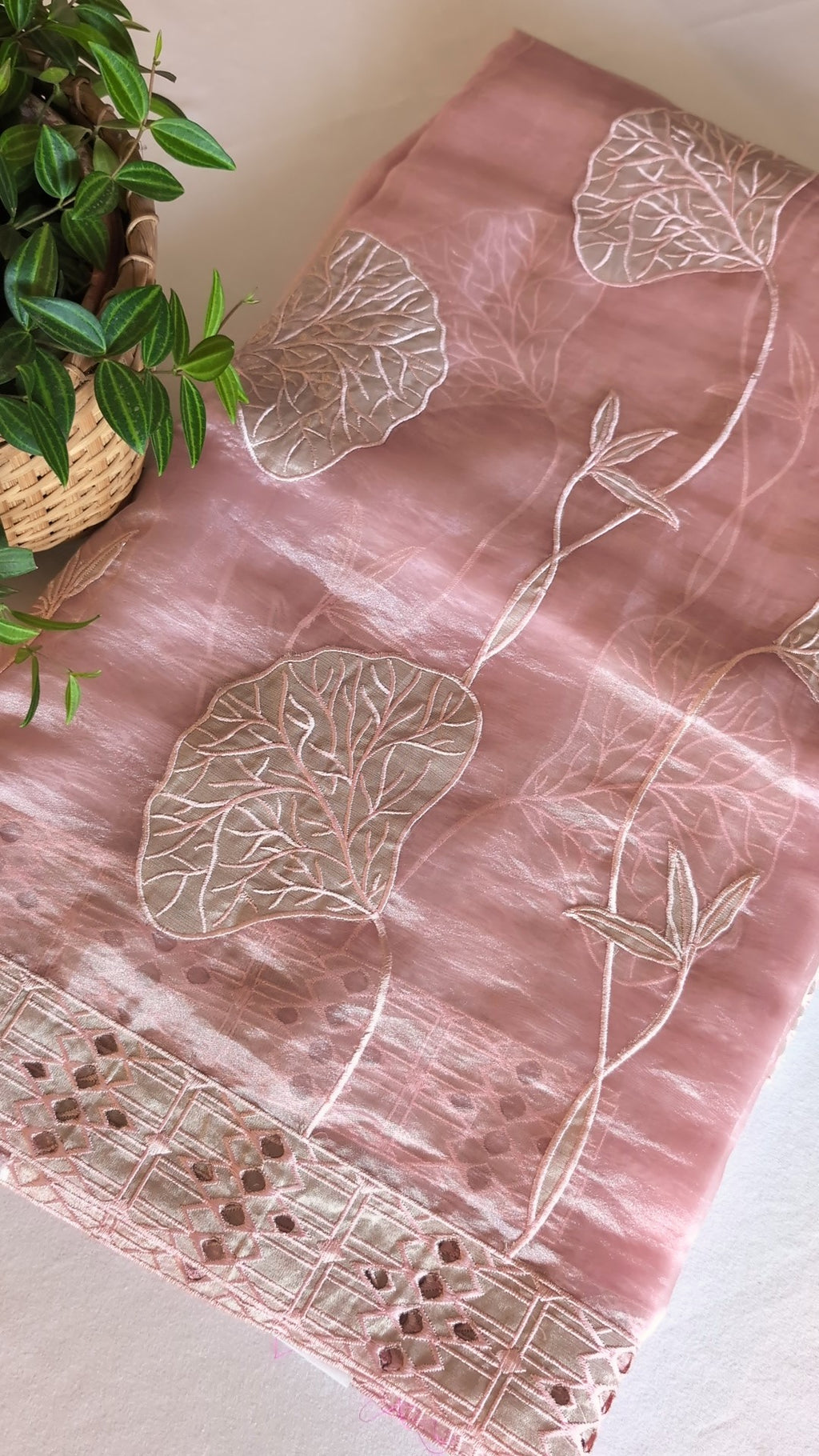 Glass tissue Organza saree with applique work