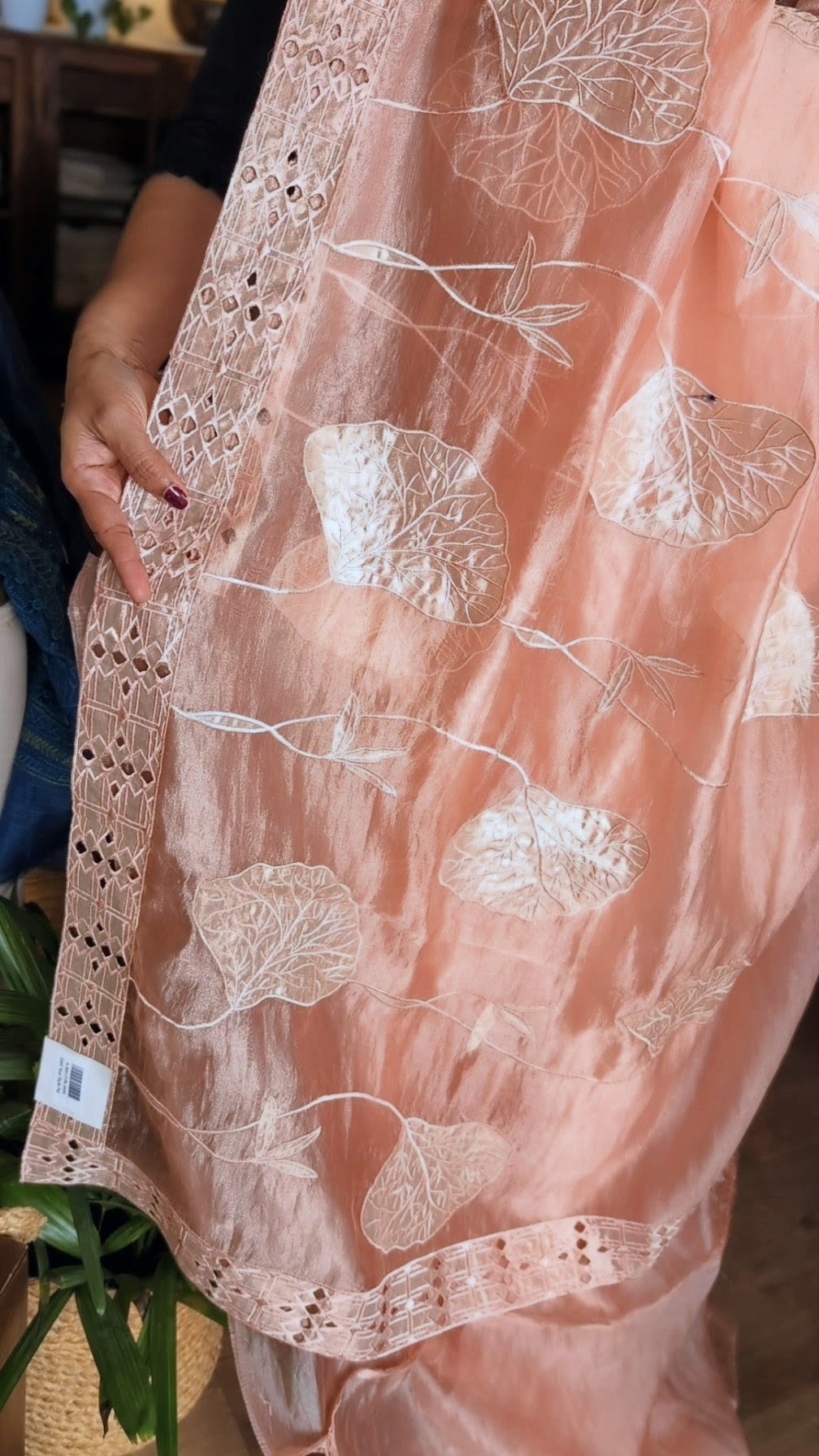 Glass tissue organza saree with applique work
