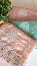 Glass tissue organza saree with applique work