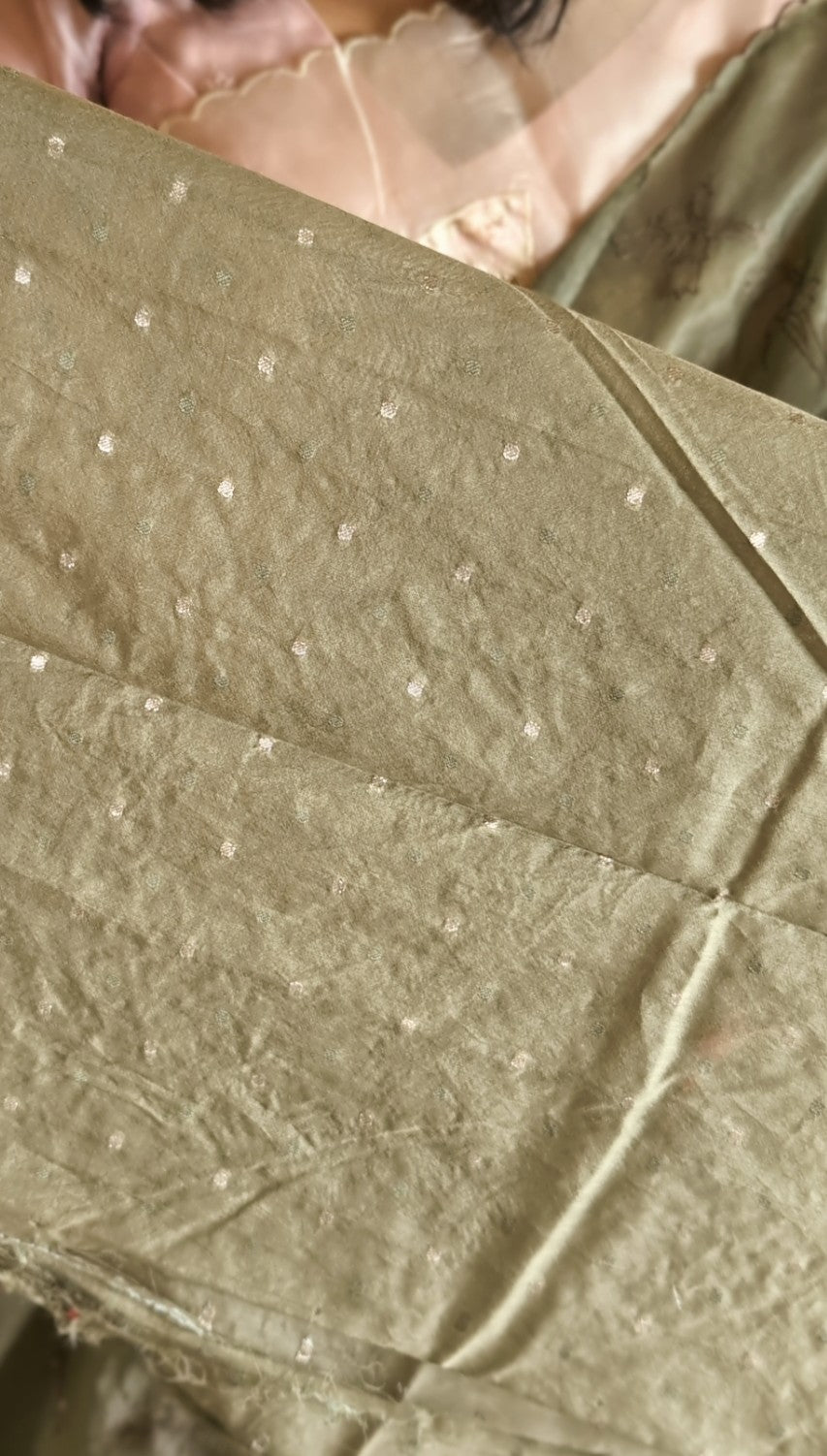Organza applique bead  handwork saree