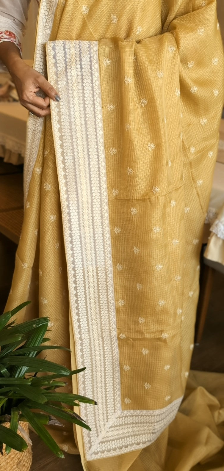 Kota silk sare with lace borders