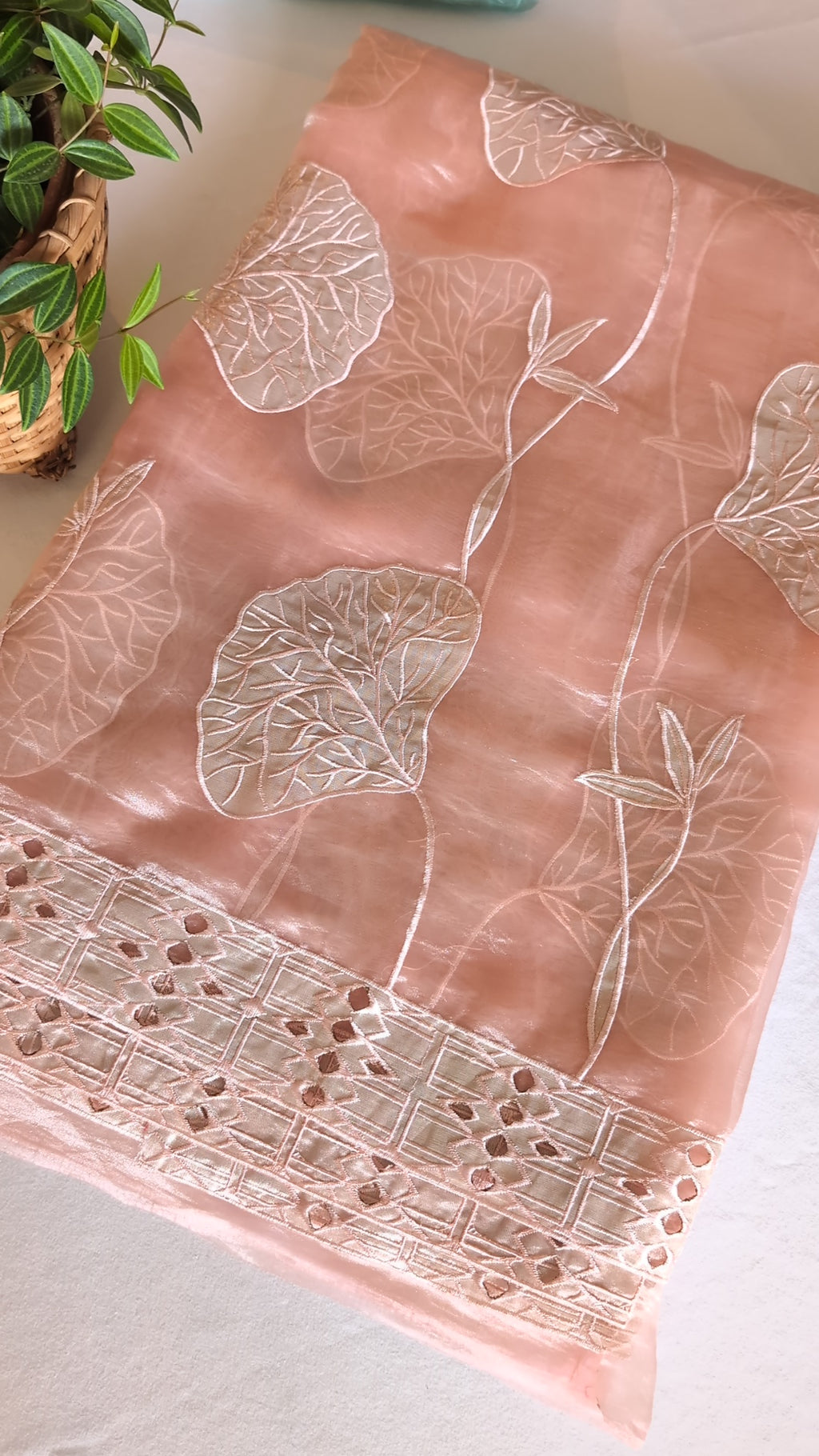 Glass tissue organza saree with applique work