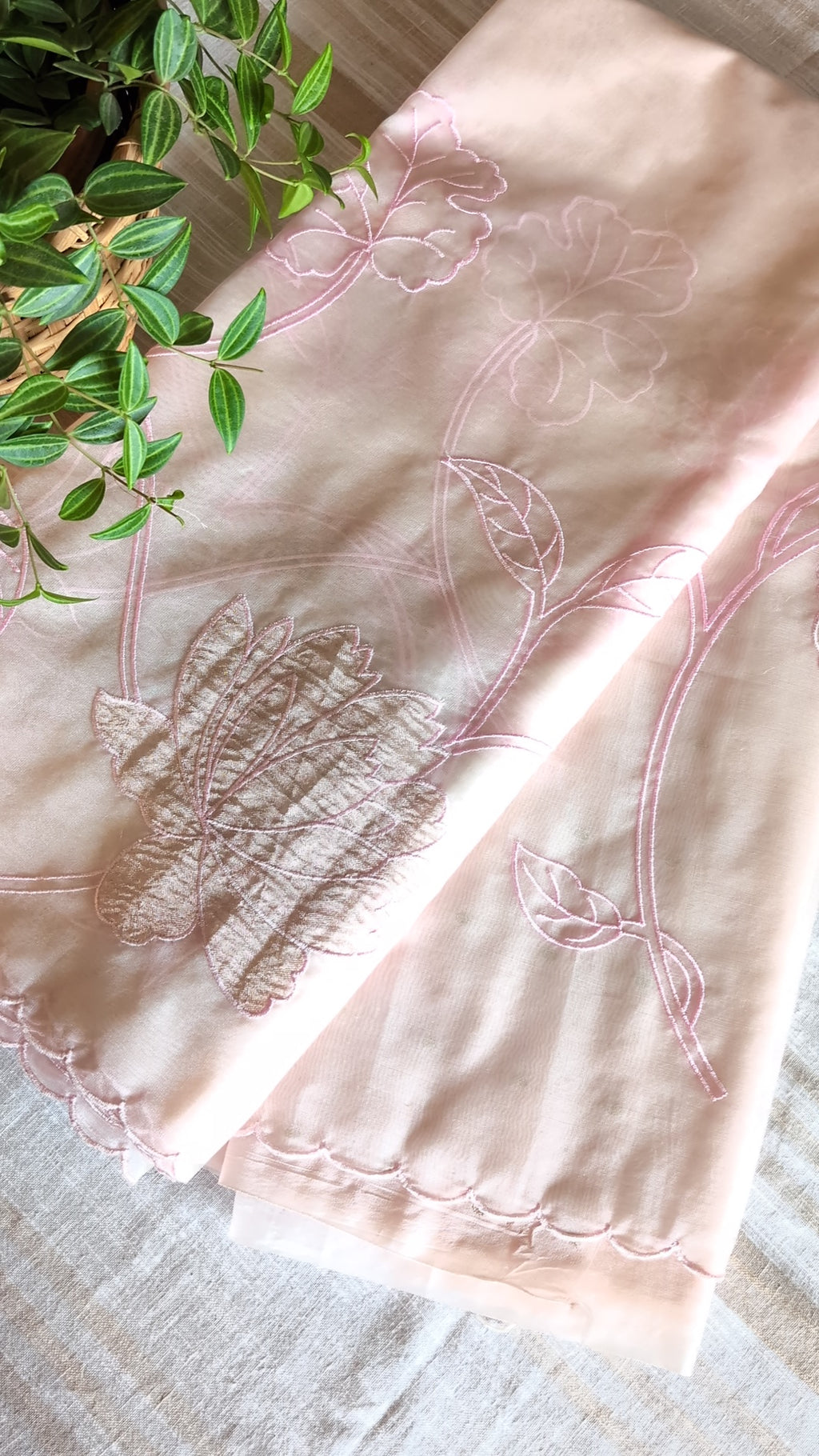 Organza applique work saree