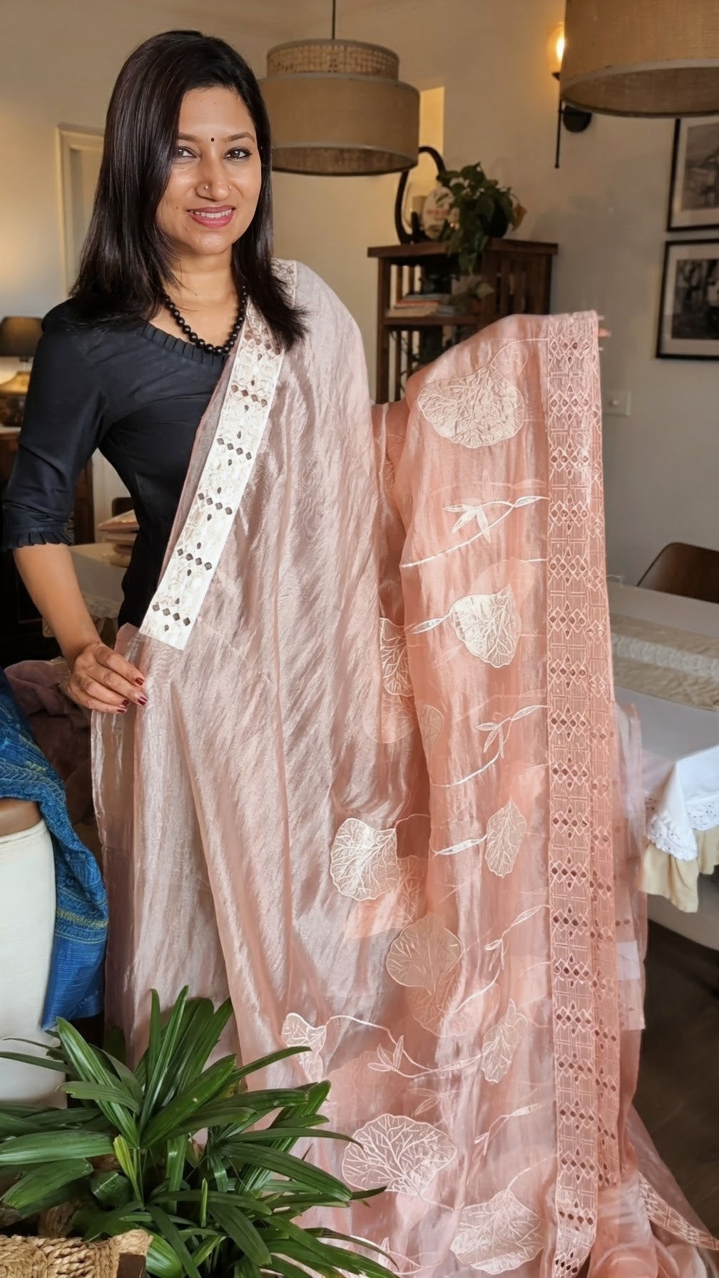 Glass tissue organza saree with applique work